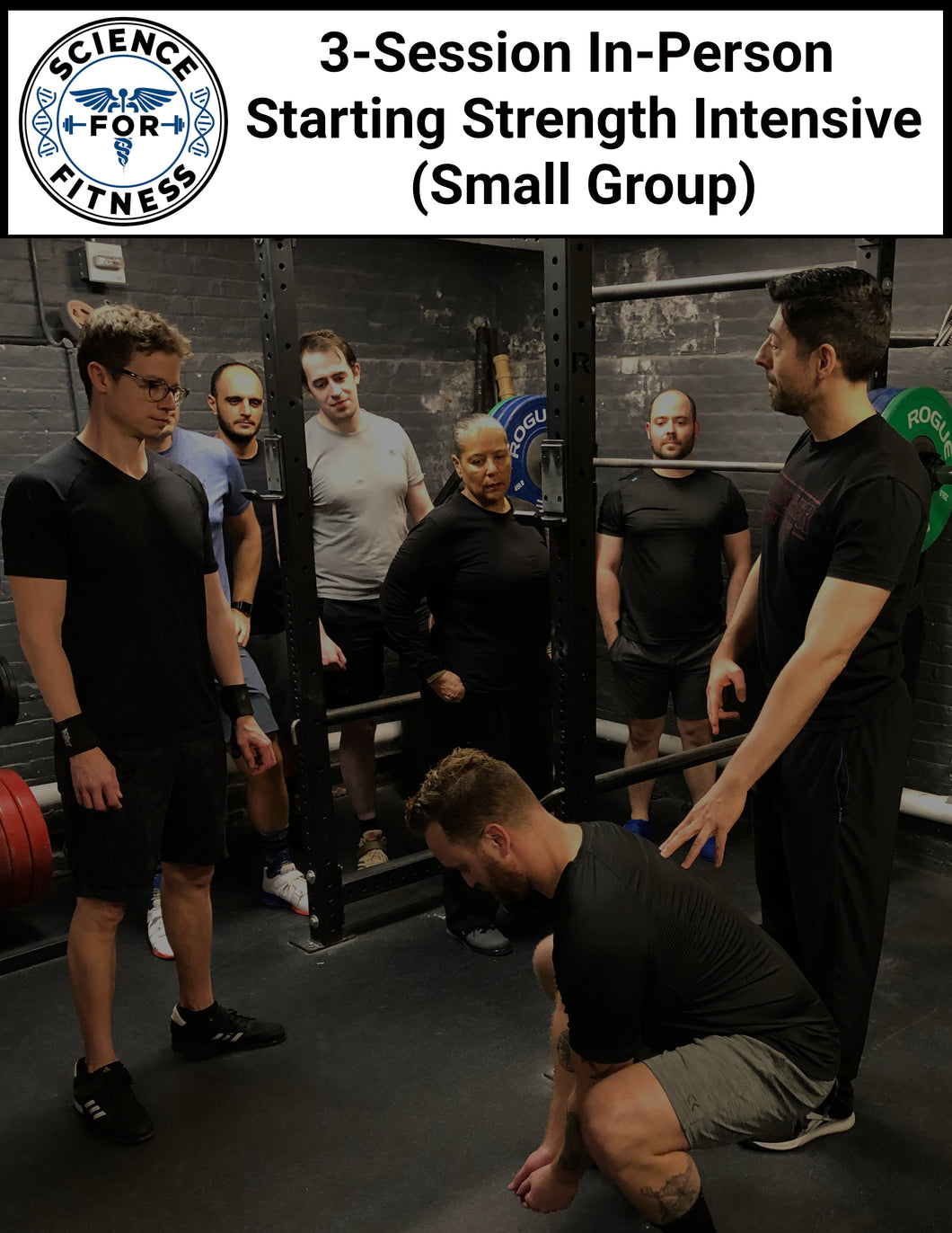 3-Session In-Person Starting Strength Intensive (Small Group)